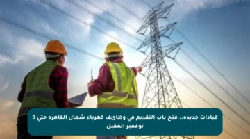 قيادات جديدة.. فتح باب التقديم في وظائف كهرباء شمال القاهرة حتى 9 نوفمبر المقبل